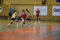 /album/shc-2013/dsc-0167-jpg/