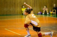 /album/fotogaleria-shc-2014/a10446475-1459179557655103-2502602367874967722-n-jpg/