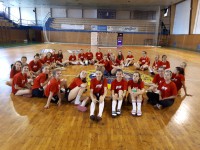 /album/shc-2018/a20180617-171527-jpg/